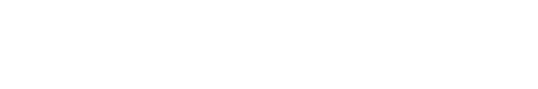 Shopify Plus Partner